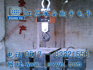 江蘇淮安翔宇電子吊秤廠(chǎng)家專(zhuān)注電子吊秤維修 吊鉤秤 電子吊秤校準