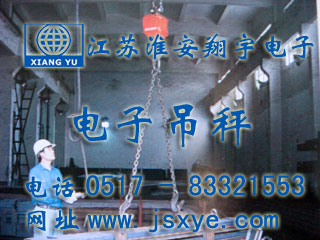江蘇高鐵電子吊秤 -  電子吊秤廠(chǎng)家江蘇淮安翔宇電子吊秤案例