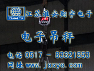 江蘇井神鹽業(yè)電子吊秤 - 電子吊秤廠(chǎng)家江蘇淮安翔宇電子吊秤案例