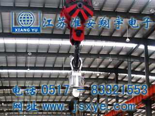 安徽新顯通無(wú)線(xiàn)儀表控制電子吊秤 - 江蘇淮安翔宇電子吊秤廠(chǎng)家案例