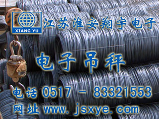 中富國際電子吊秤無(wú)線(xiàn)式 - 電子吊秤廠(chǎng)家江蘇淮安翔宇電子吊秤案