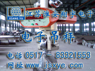 江蘇惠德隆電子吊秤 - 電子吊秤廠(chǎng)家江蘇淮安翔宇電子吊秤案例