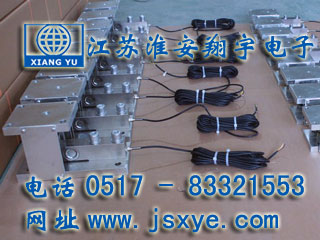 廣東中和稱(chēng)重模塊傳感器 - 稱(chēng)重傳感器廠(chǎng)家江蘇淮安翔宇電子傳感器