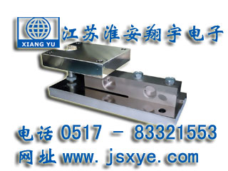 稱(chēng)重模塊,稱(chēng)重模塊廠(chǎng)家,XYWS-CBM