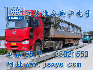 電子汽車(chē)衡