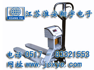 XYVWS車(chē)載稱(chēng)重系統