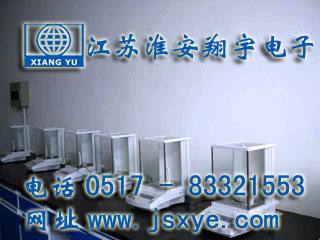威特藥業(yè)采購12臺江蘇淮安翔宇電子天平廠(chǎng)家高精度分析天平