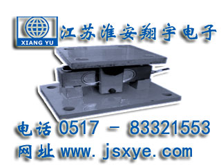 稱(chēng)重模塊,稱(chēng)重模塊廠(chǎng)家,XYWS-BM